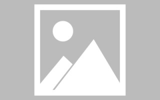 烟台url网页设计（网页的url由哪三个部分构成?）